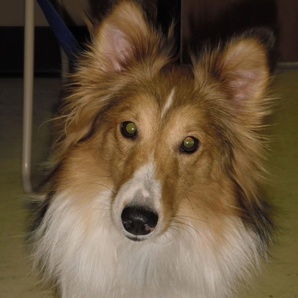 Meet your Posher, Kayla - Picture 11 of 12